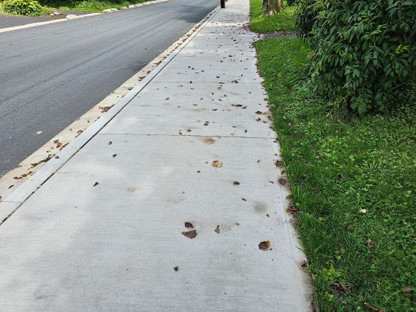 Sidewalk Renovation in Nampa