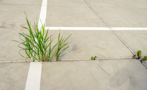 Concrete Parking Installation in Nampa